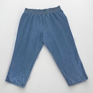 Lucy & Yak Womens 3X Organic Cotton Hemp Blue Chambray Pants Pull On Comfort